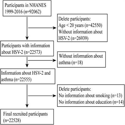 The association between Herpes simplex virus type 2 and asthma: A cross-sectional study from National Health and Nutrition Examination Survey 1999–2016